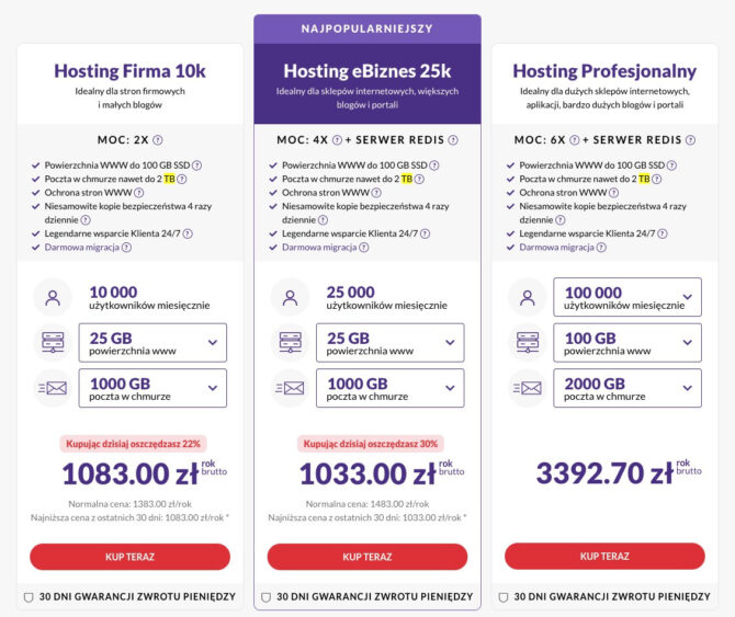 Cennik hostingu w Zenbox przy pojemności 1000 GB